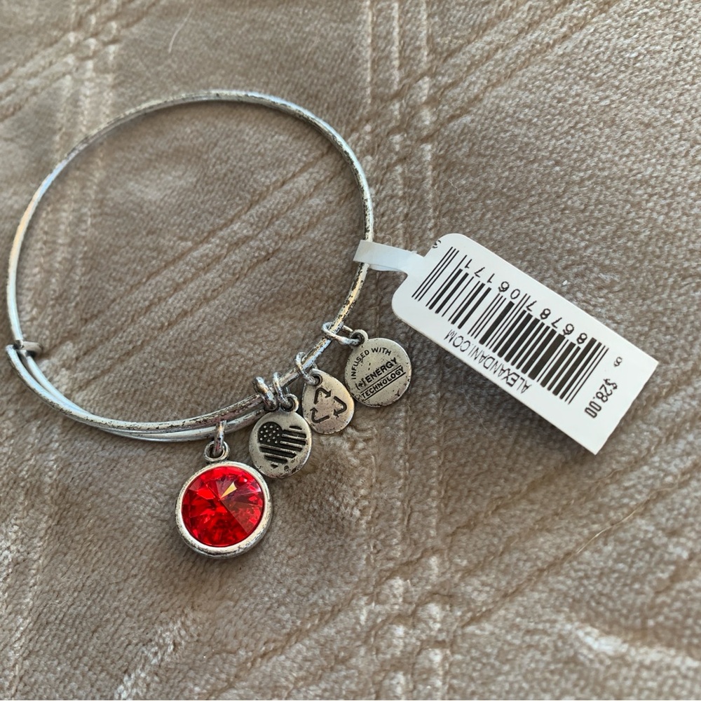 Alex and Ani Silver Charm Bracelet with July Red Crystal NWT